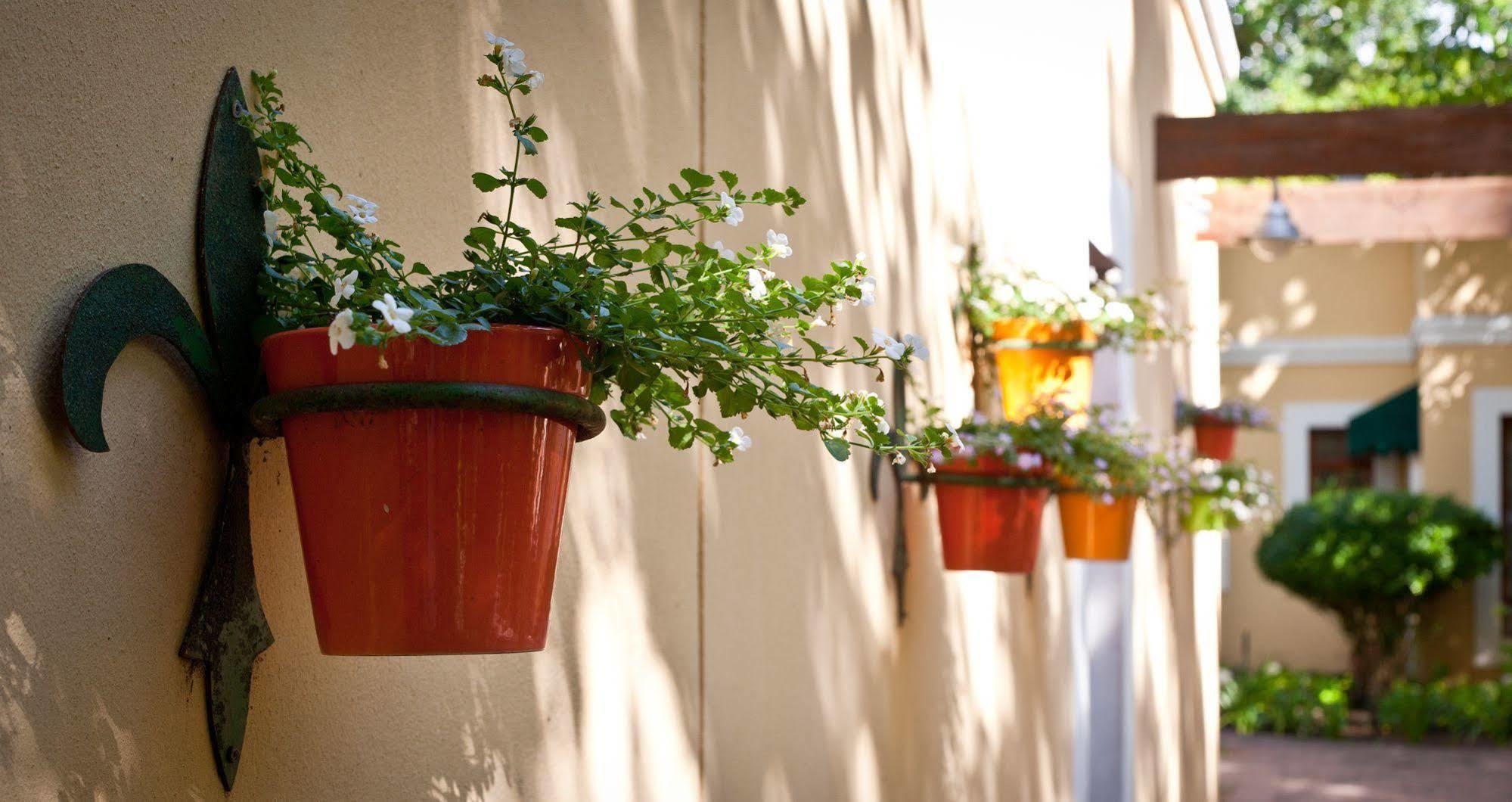 Willowbrook Country House Cidade Do Cabo Exterior foto