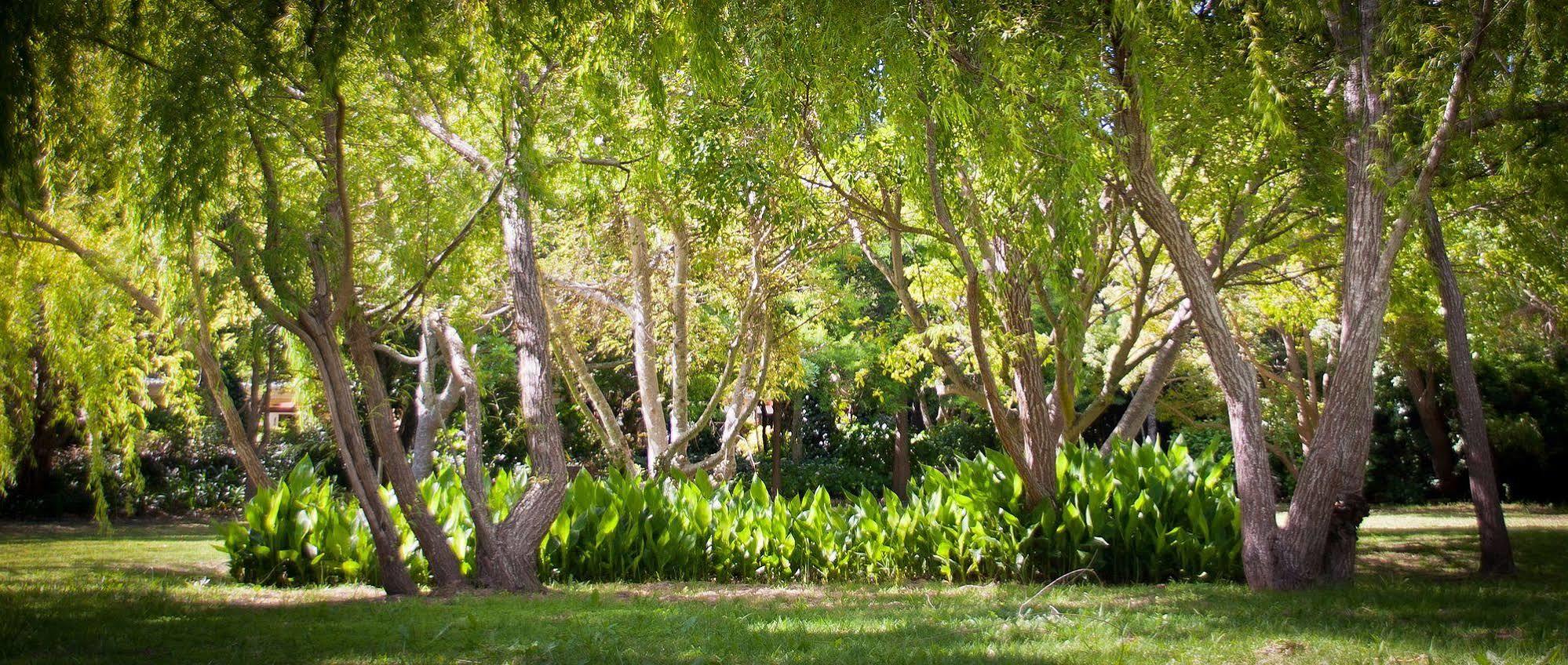 Willowbrook Country House Cidade Do Cabo Exterior foto